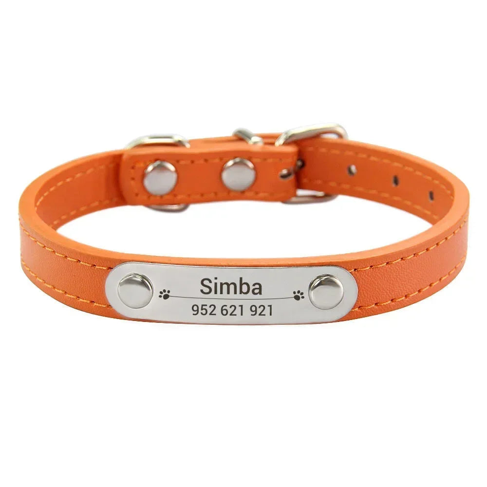 Orange colour cat dog collar with name