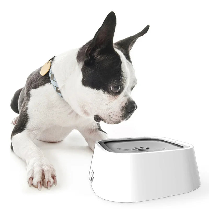 Pet automatic water bowl