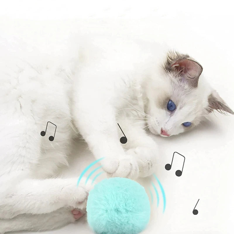 Plush cat toy