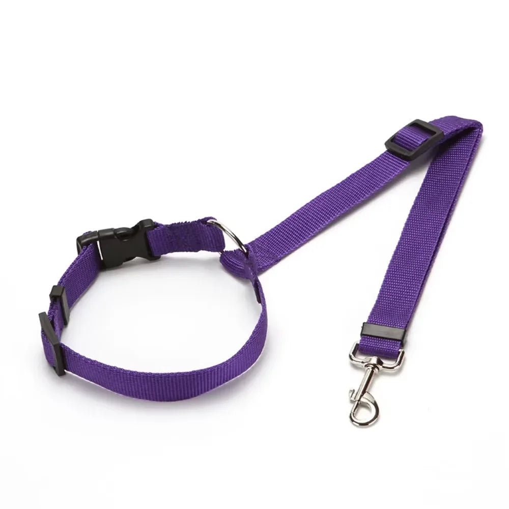 Purple colour dog car seat belt and leash