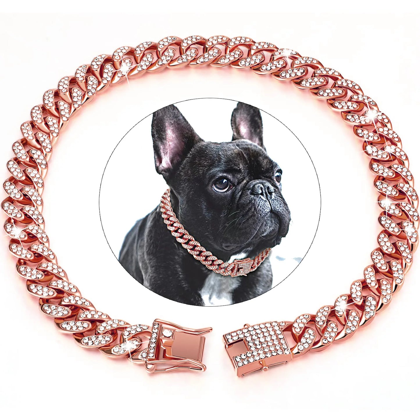 Rose gold chain collar for dog and cat
