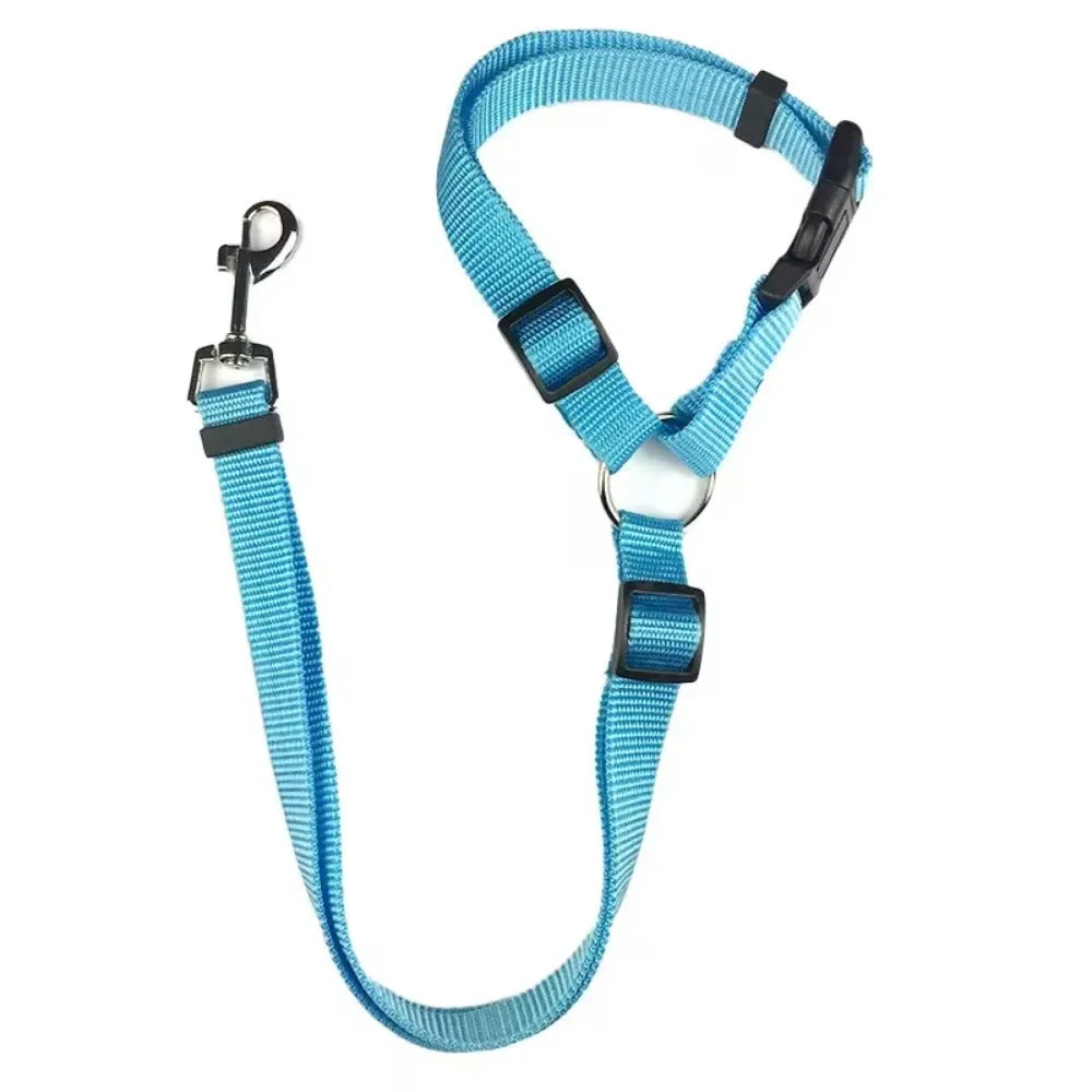 Sky blue colour dog car seat belt and leash