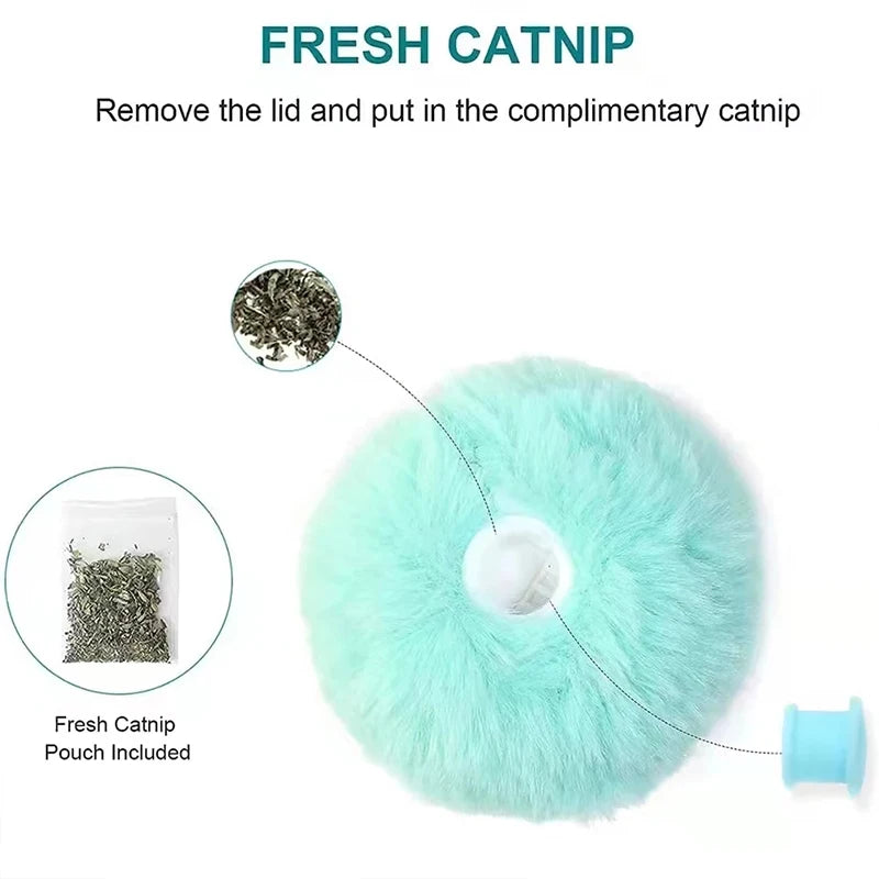 Smart interactive plush toy with fresh catnip