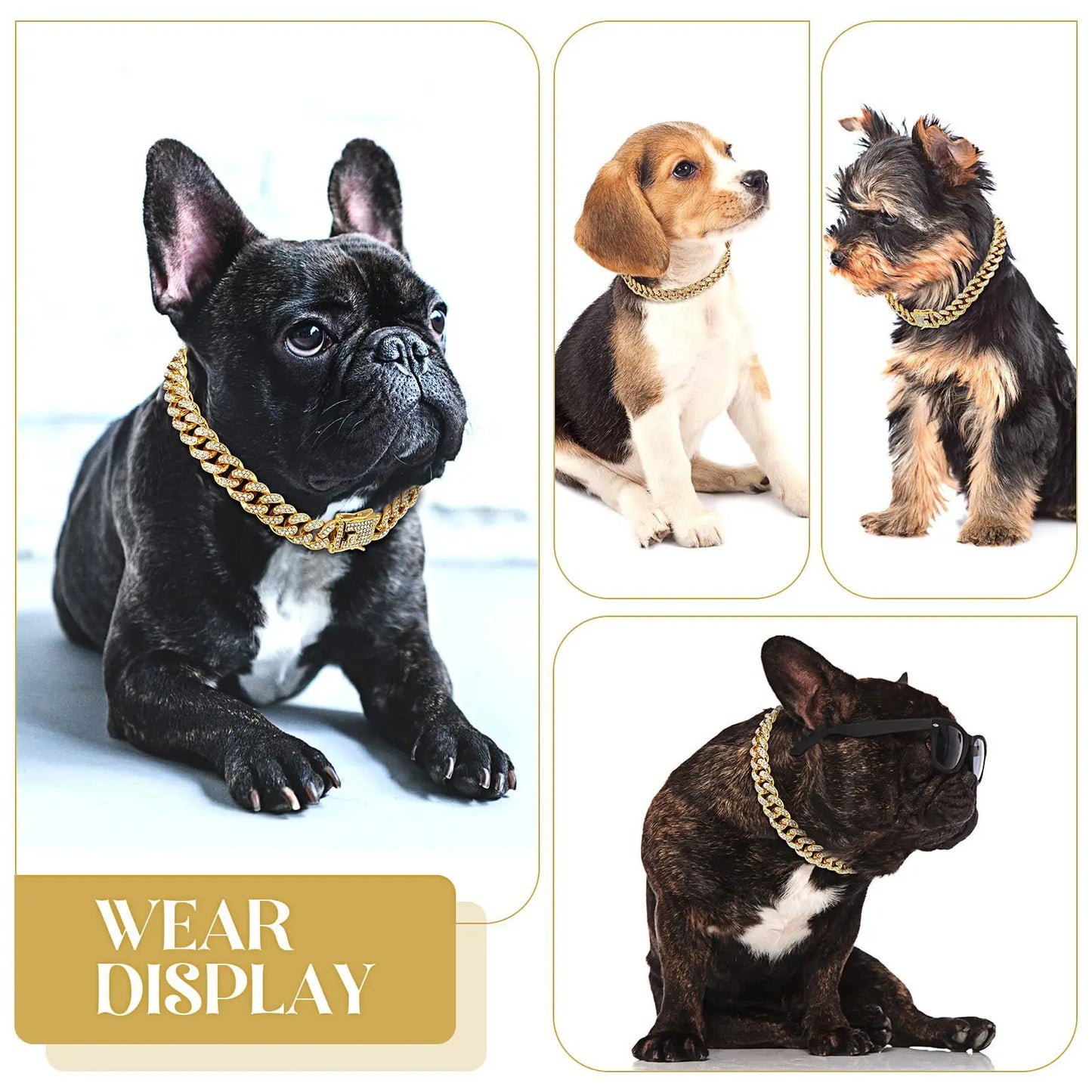 Wear display chain collar for dog