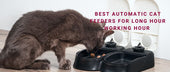 Best Automatic Cat Feeders