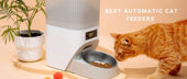 Best Automatic Cat Feeders