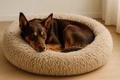 dog resting in calming bed
