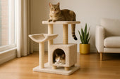 Cats on modern tower