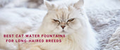 Best Cat Water Fountains for Long-Haired Breeds