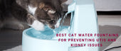 Best Cat Water Fountains for Preventing UTIs and Kidney Issues