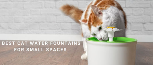 Best Cat Water Fountains for Small Spaces