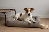 Jack Russell on dog bed