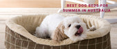 Best Dog Beds for Summer in Australia