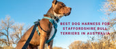 Best Dog Harness for Staffordshire Bull Terriers in Australia