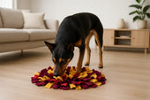 Dog using snuffle mat