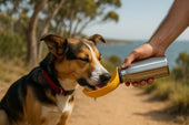 Dog drinking from bottle
