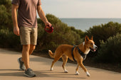 Dog on extendable lead