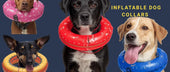 Best Inflatable Dog Collars in Australia