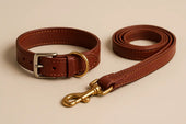 premium leather dog collar
