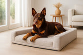 Luxury orthopaedic dog bed