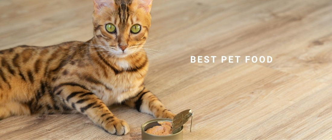 How to Choose the Best Pet Food