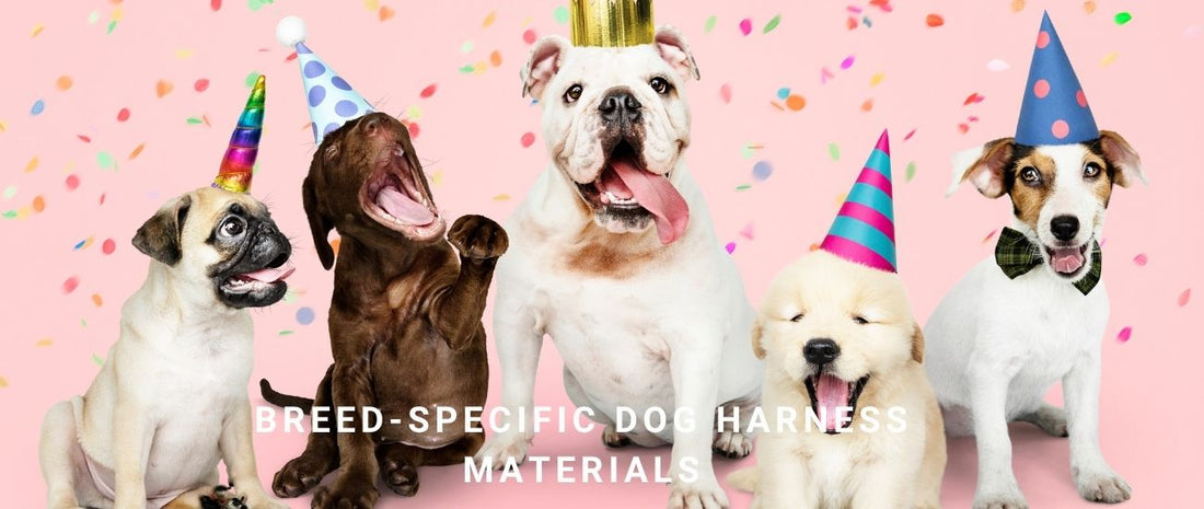 Breed-Specific Harness Materials