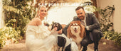 Can Dogs Feel Jealousy