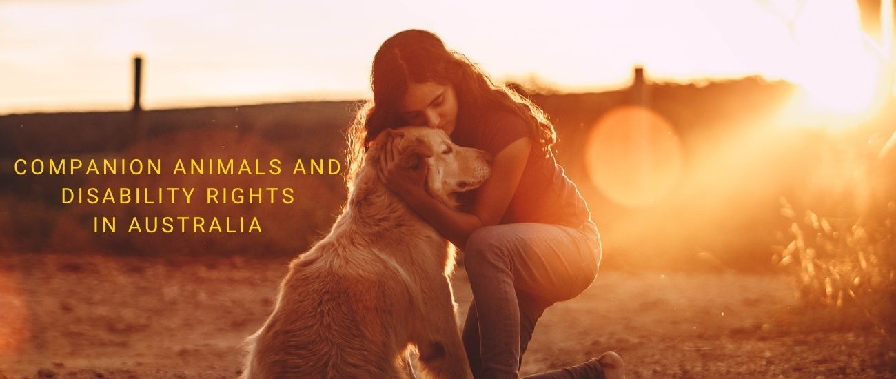 Companion Animals and Disability Rights: Understanding Service Dog Laws ...