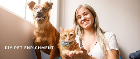 DIY Pet Enrichment