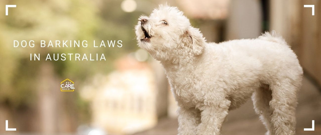 Dog Barking Laws in Australia: Understanding Nuisance Pet Regulations
