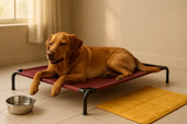 Dog on cooling bed