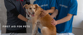 First Aid for Pets