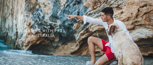 Holidaying with Pets in Australia