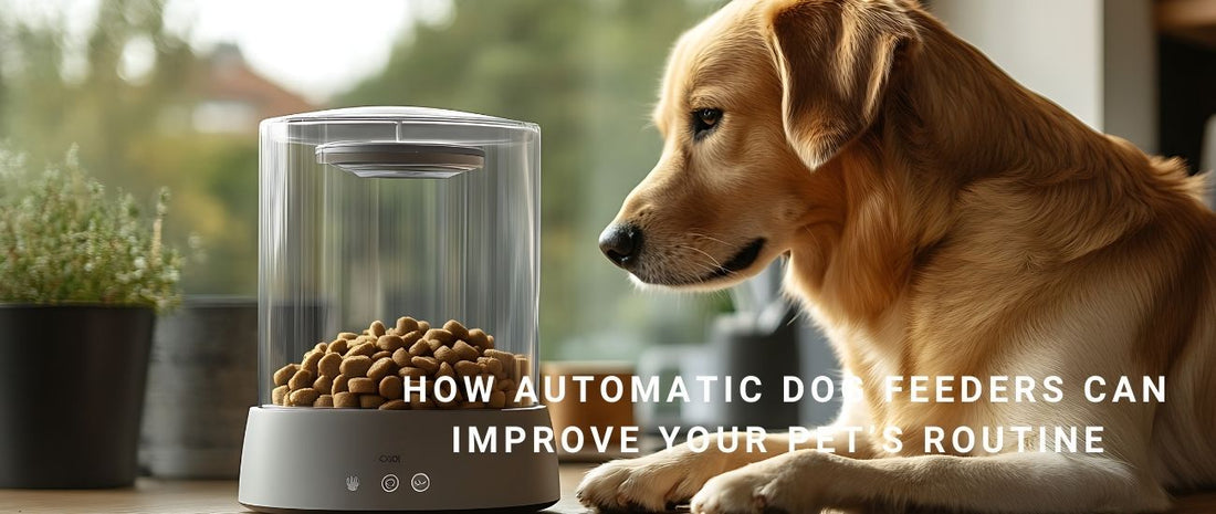 How Automatic Dog Feeders Can Improve Your Pet’s Routine