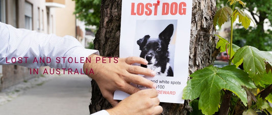 Lost and Stolen Pets in Australia