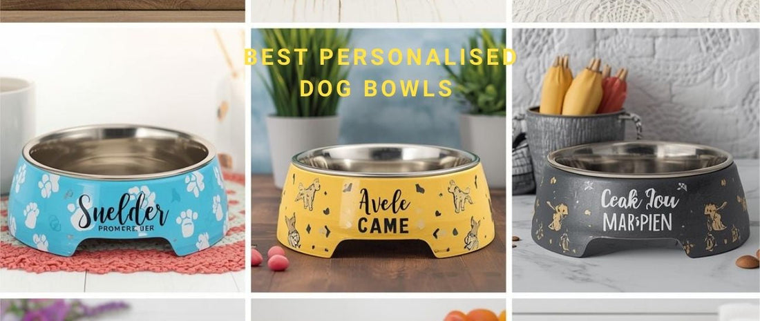 Best Personalised Dog Bowls