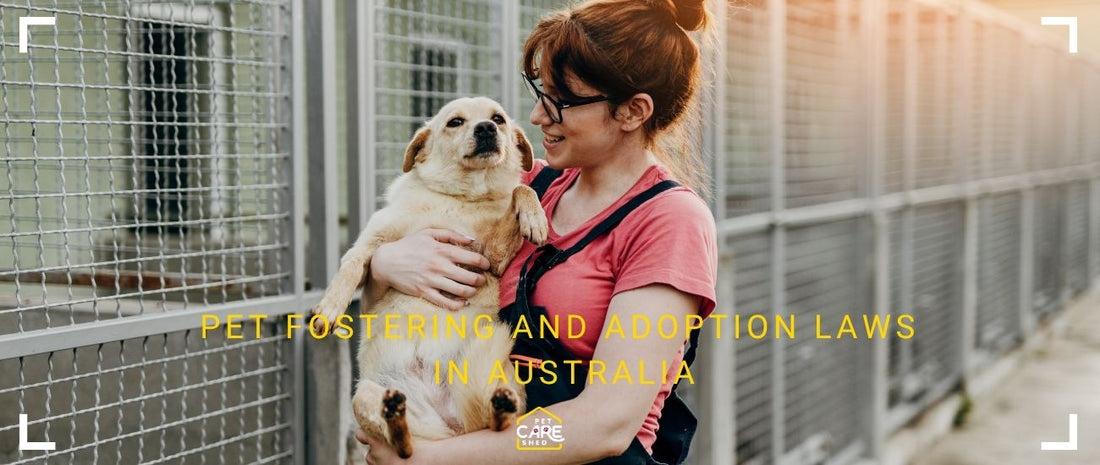 Pet Fostering and Adoption Laws in Australia