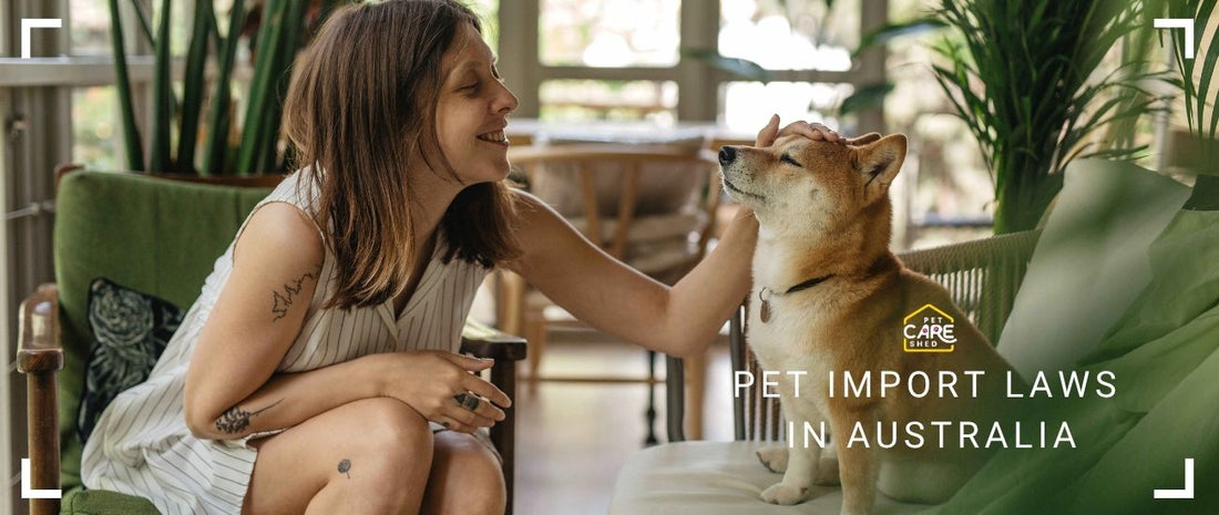 Pet Import and Quarantine Laws