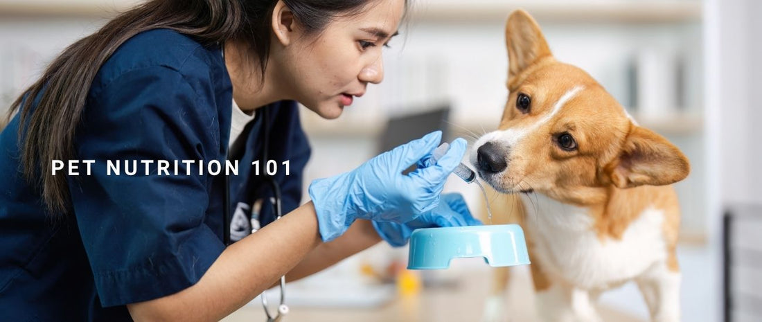 Pet Nutrition 101