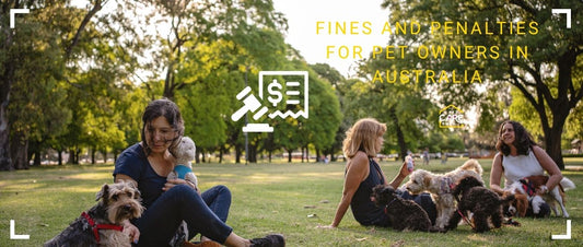 Fines and Penalties for Pet Owners in Australia