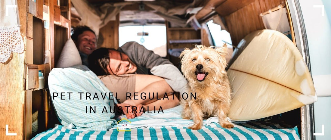 Pet Travel Regulations Australia: Moving Interstate or Overseas with Pets