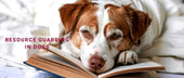 Resource Guarding in Dogs