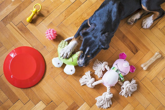 Rolling Treat Ball for Dogs