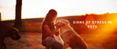 Signs of Stress in Pets
