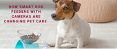 How Smart Dog Feeders With Cameras and Two-Way Audio Are Changing Pet Care at Home