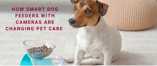 How Smart Dog Feeders With Cameras and Two-Way Audio Are Changing Pet Care at Home