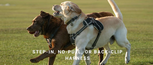Step-In, No-Pull, or Back-Clip Harness