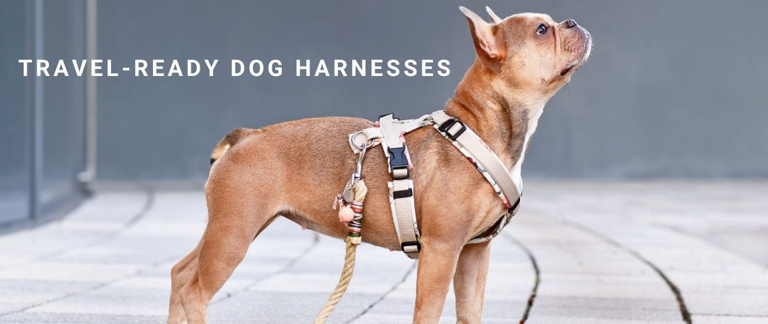 Travel-Ready Dog Harnesses