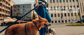 Walking Your Dog in Australian Cities