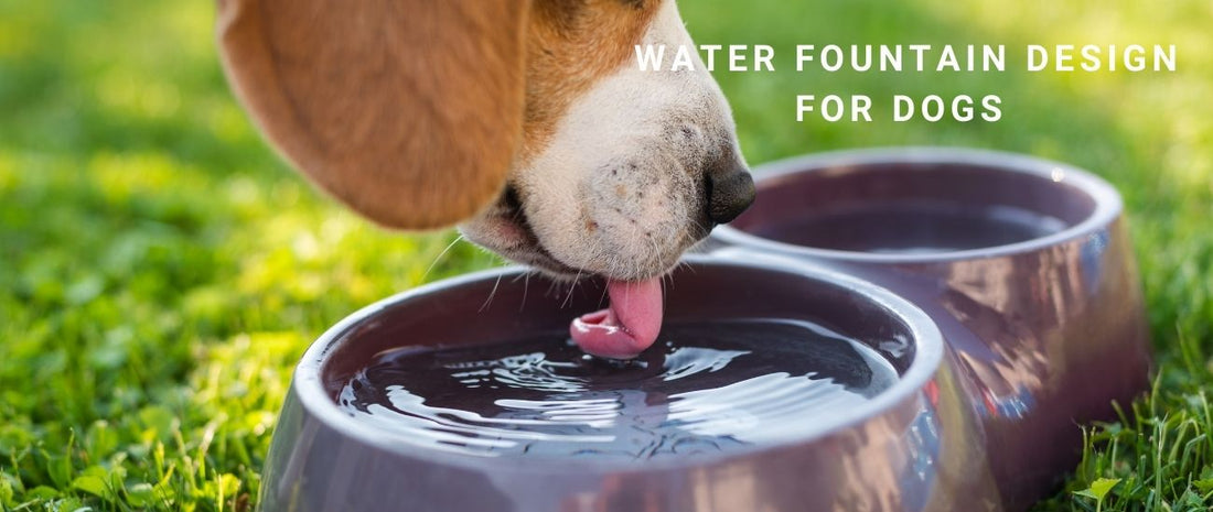 Water Fountain Design for Dogs: Materials, Filters & Hygiene You Should Know